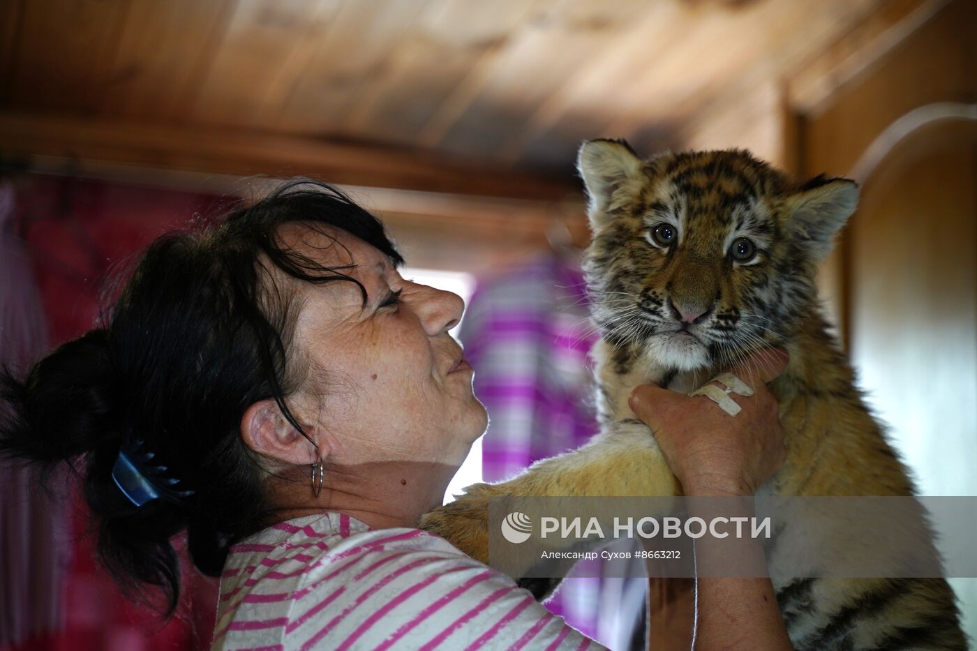 Тигрята в зоопарке Мариуполя