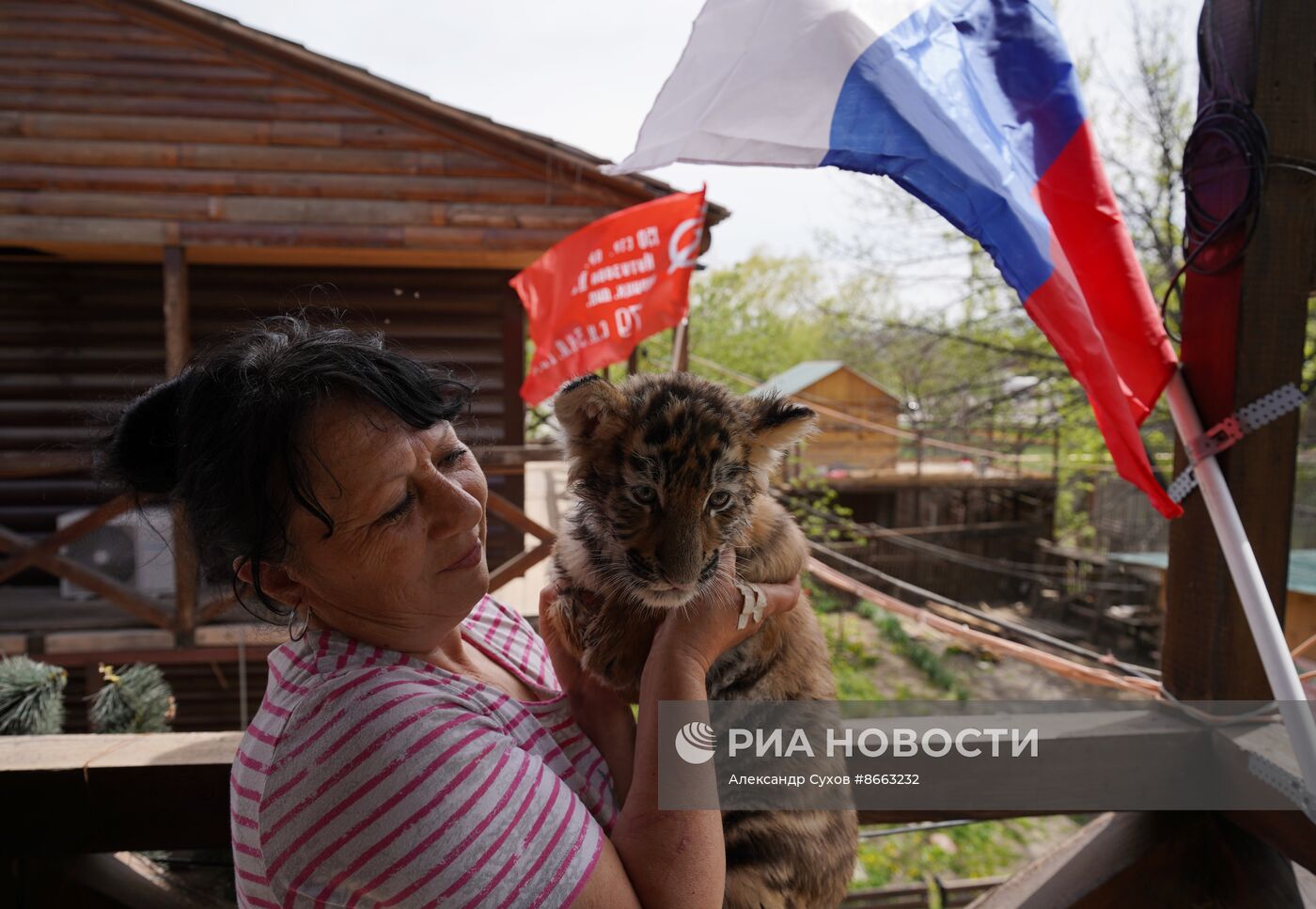 Тигрята в зоопарке Мариуполя