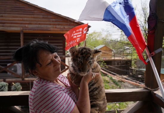 Тигрята в зоопарке Мариуполя