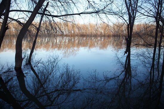 Продолжается подъем уровня воды в реке Тобол у Кургана