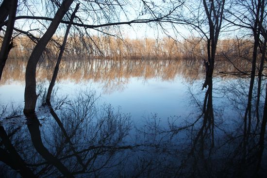 Продолжается подъем уровня воды в реке Тобол у Кургана