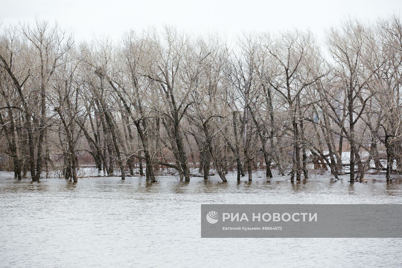 Паводок в Курганской области