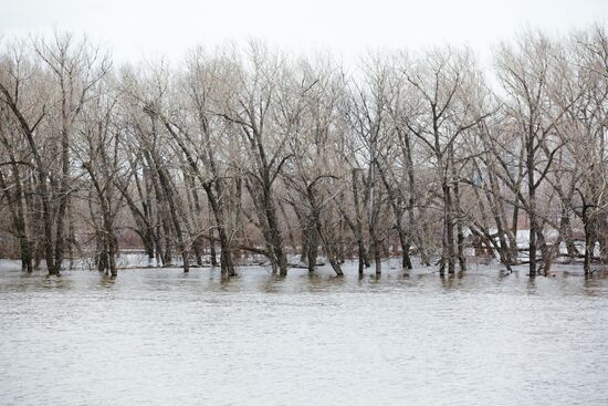 Паводок в Курганской области