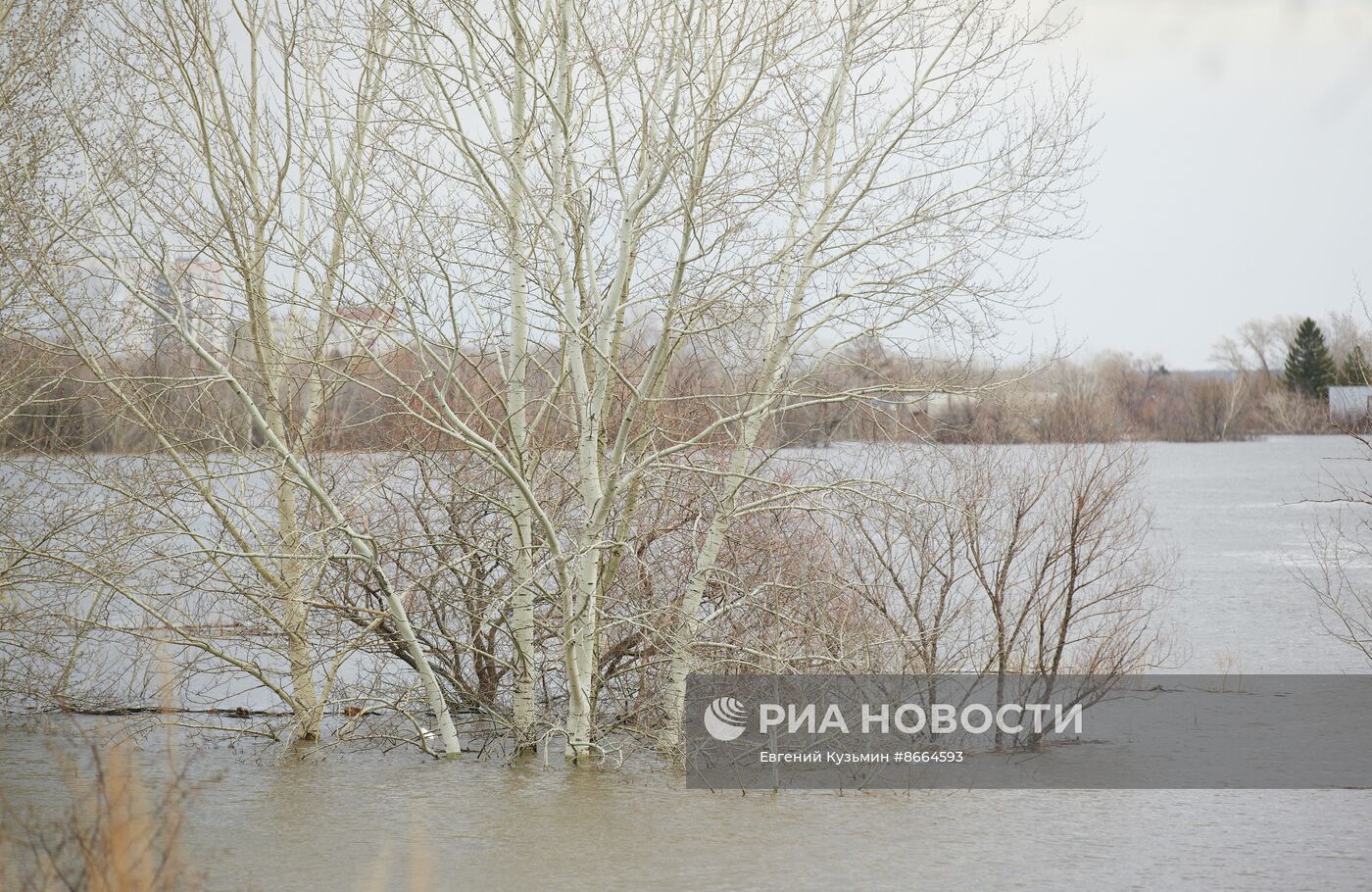 Паводок в Курганской области