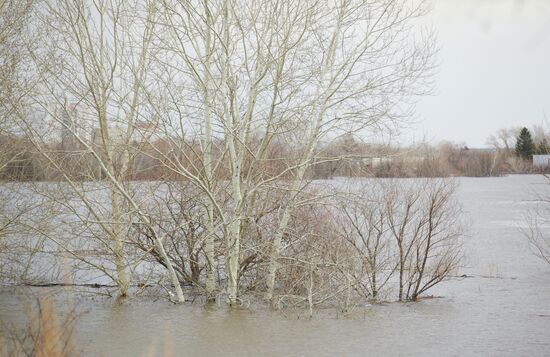 Паводок в Курганской области