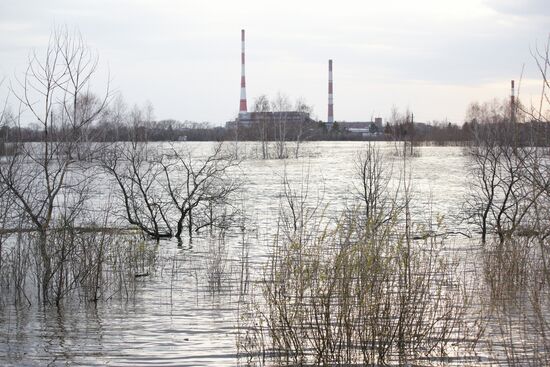 Паводок в Курганской области