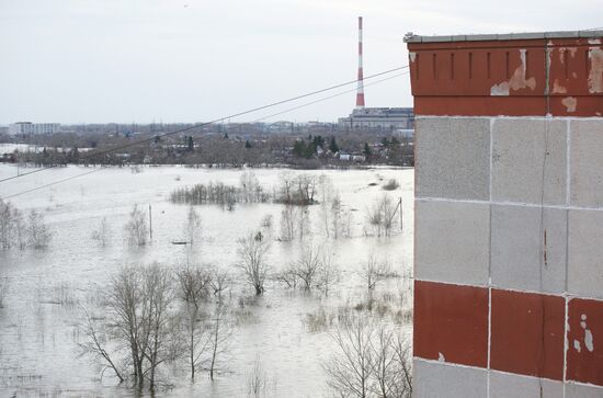 Паводок в Курганской области