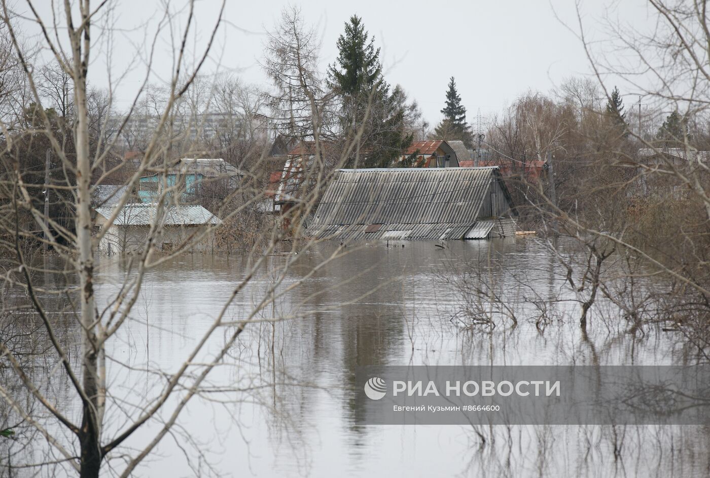 Паводок в Курганской области