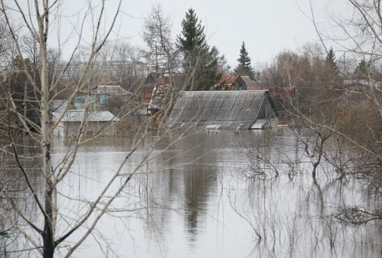 Паводок в Курганской области