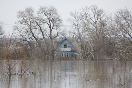 Паводок в Курганской области