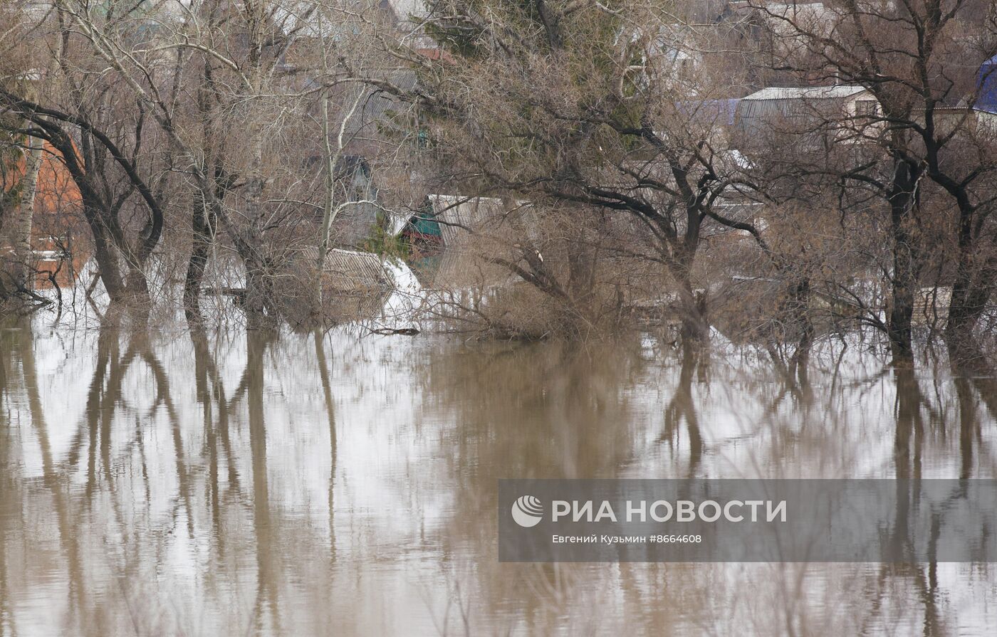 Паводок в Курганской области