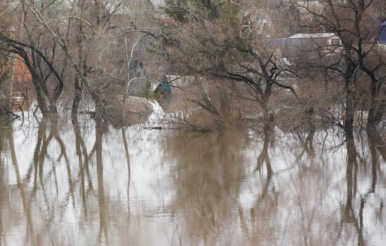 Паводок в Курганской области