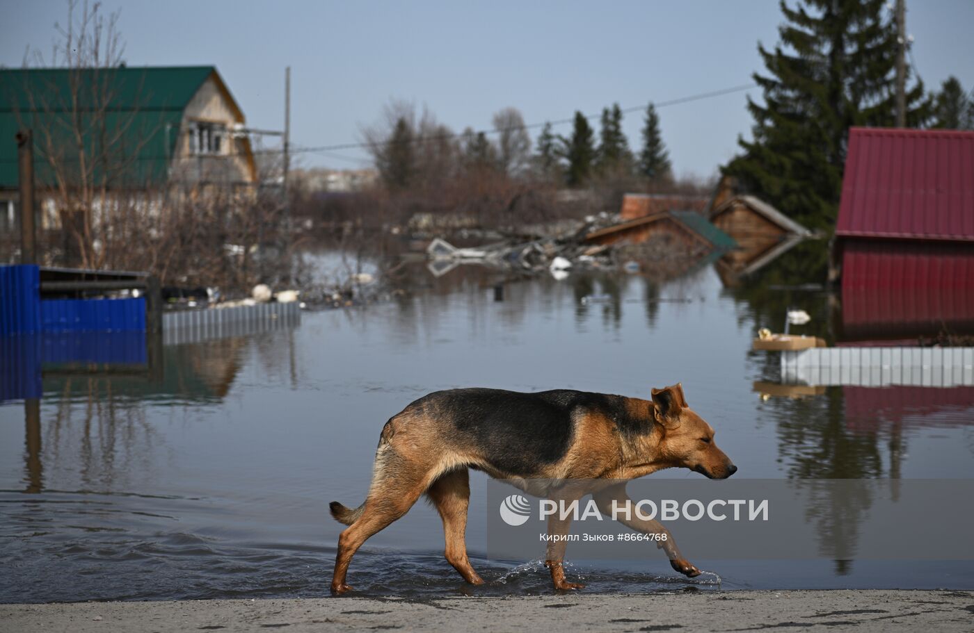 Паводок в Кургане