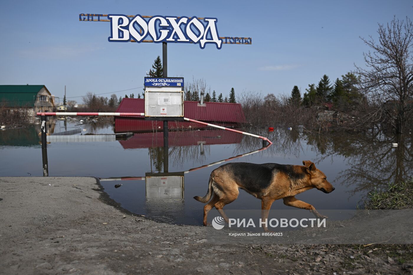 Паводок в Кургане