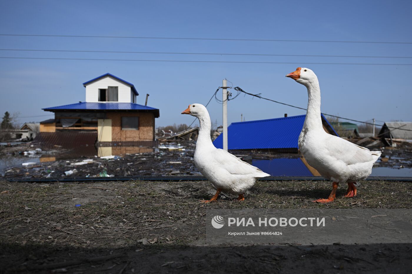 Паводок в Кургане