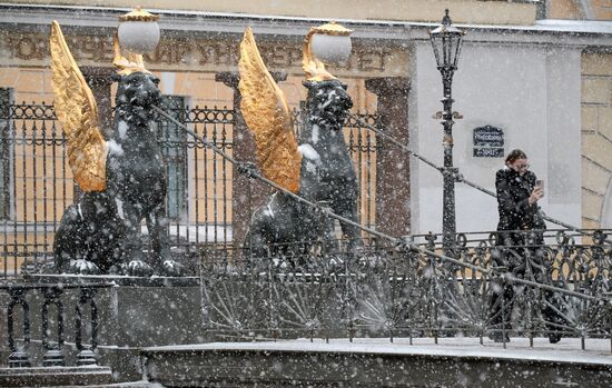 Сильный снег пошел в Петербурге