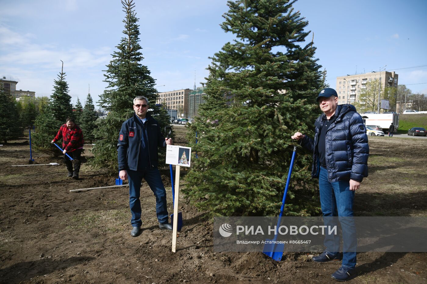 Выставка "Россия". Субботник "Еловая аллея"