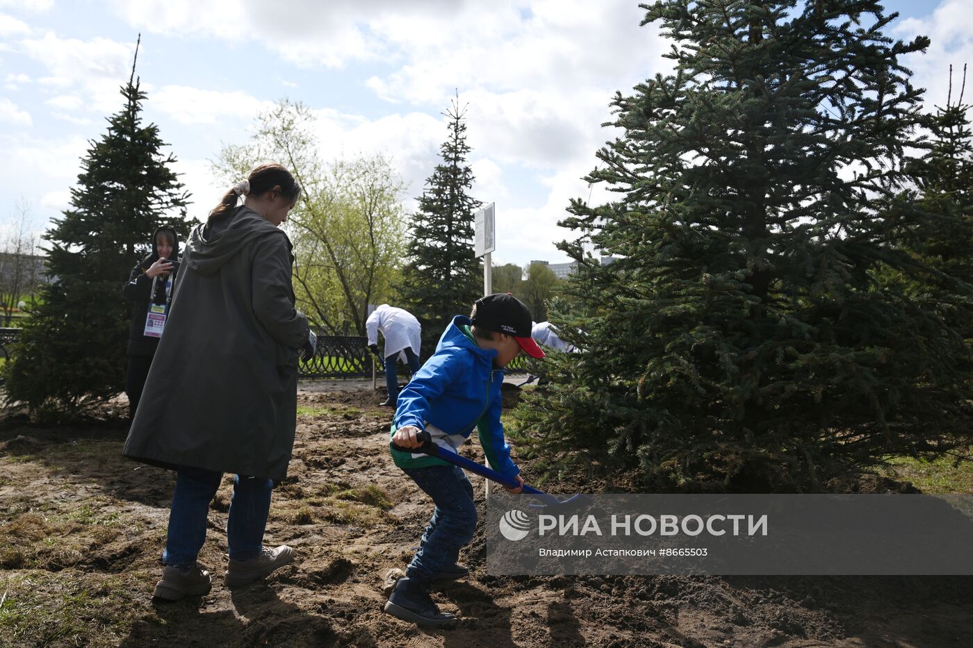 Выставка "Россия". Субботник "Еловая аллея"