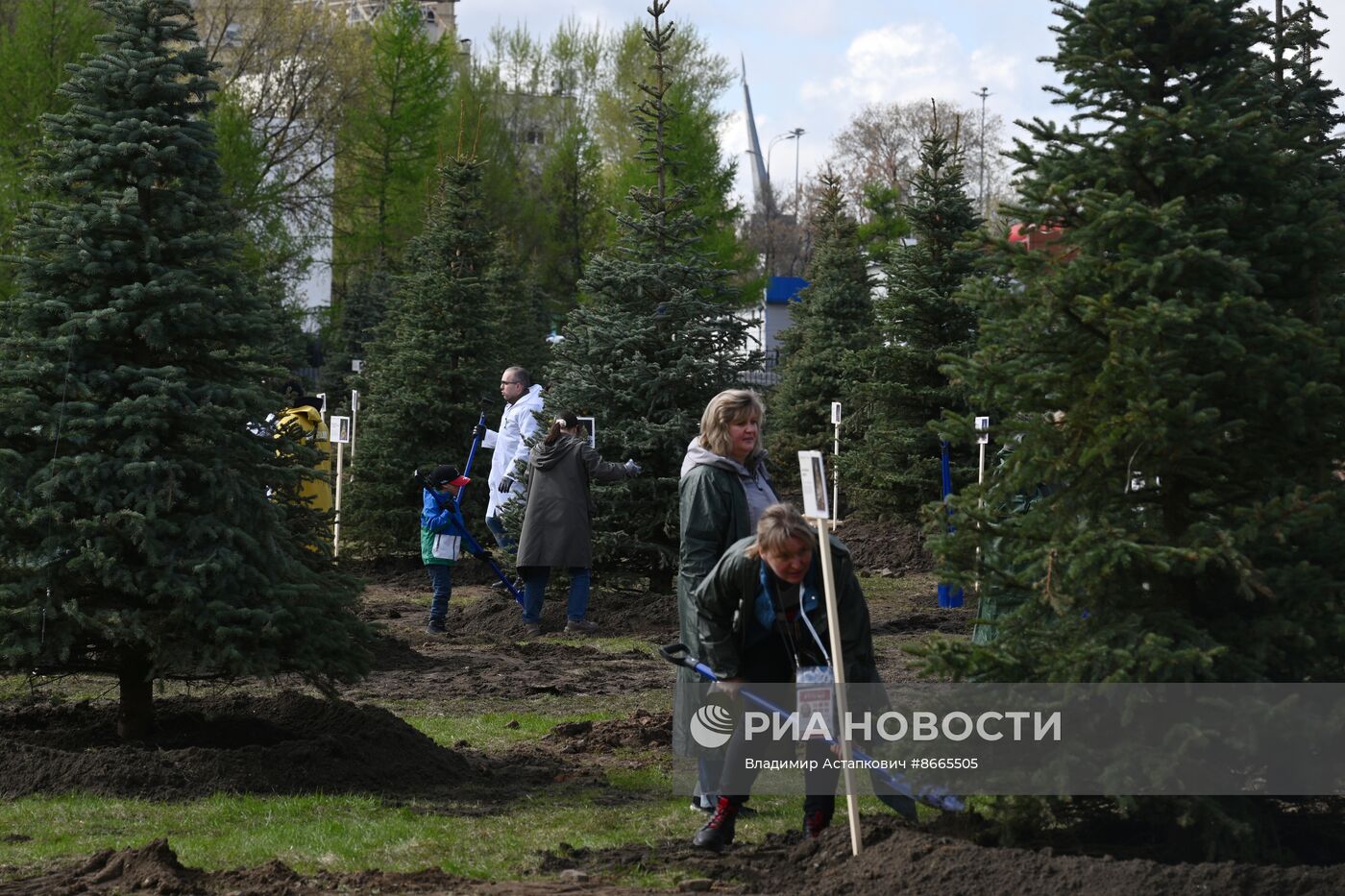 Выставка "Россия". Субботник "Еловая аллея"