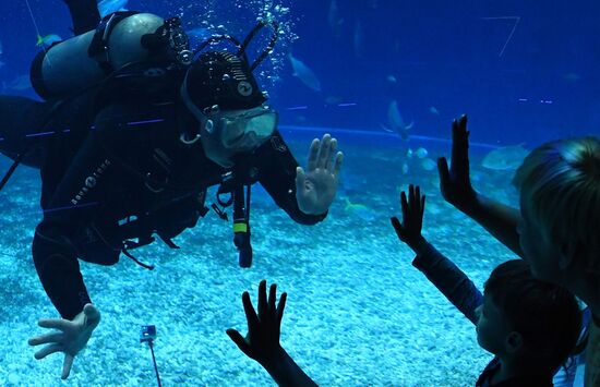 Экологический праздник в Приморском океанариуме