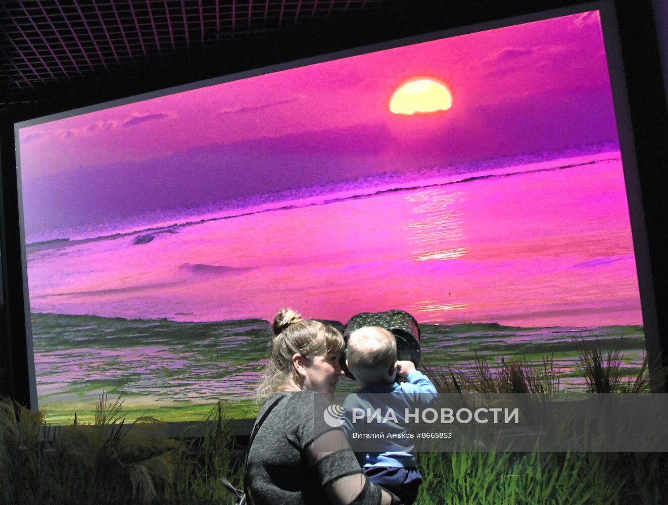 Экологический праздник в Приморском океанариуме