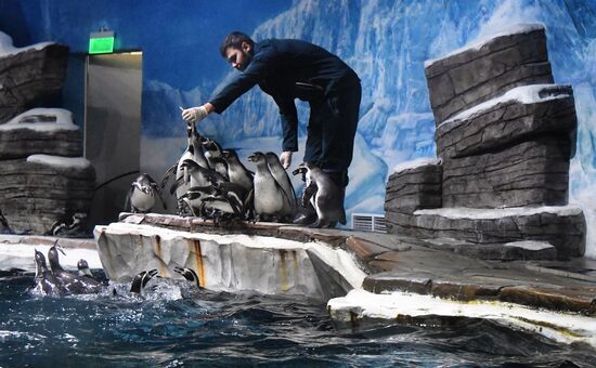 Экологический праздник в Приморском океанариуме