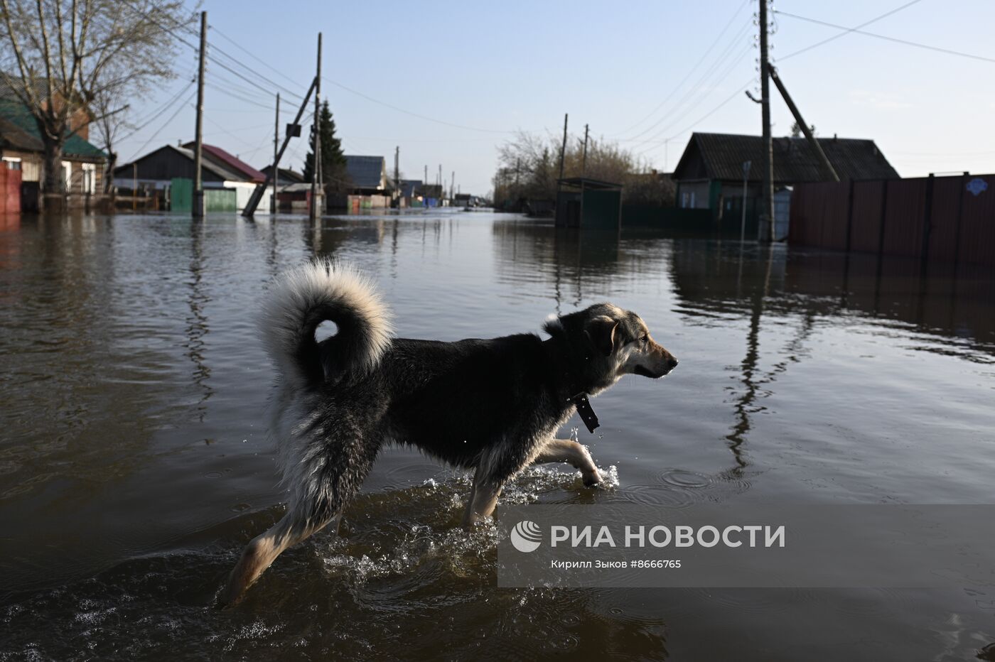 Паводок в Курганской области