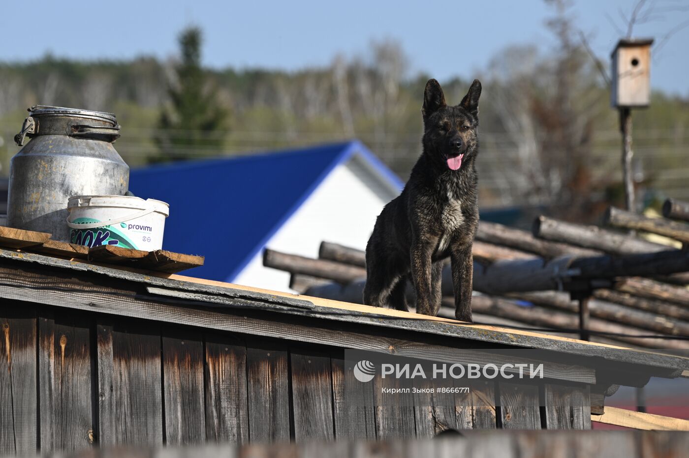 Паводок в Курганской области