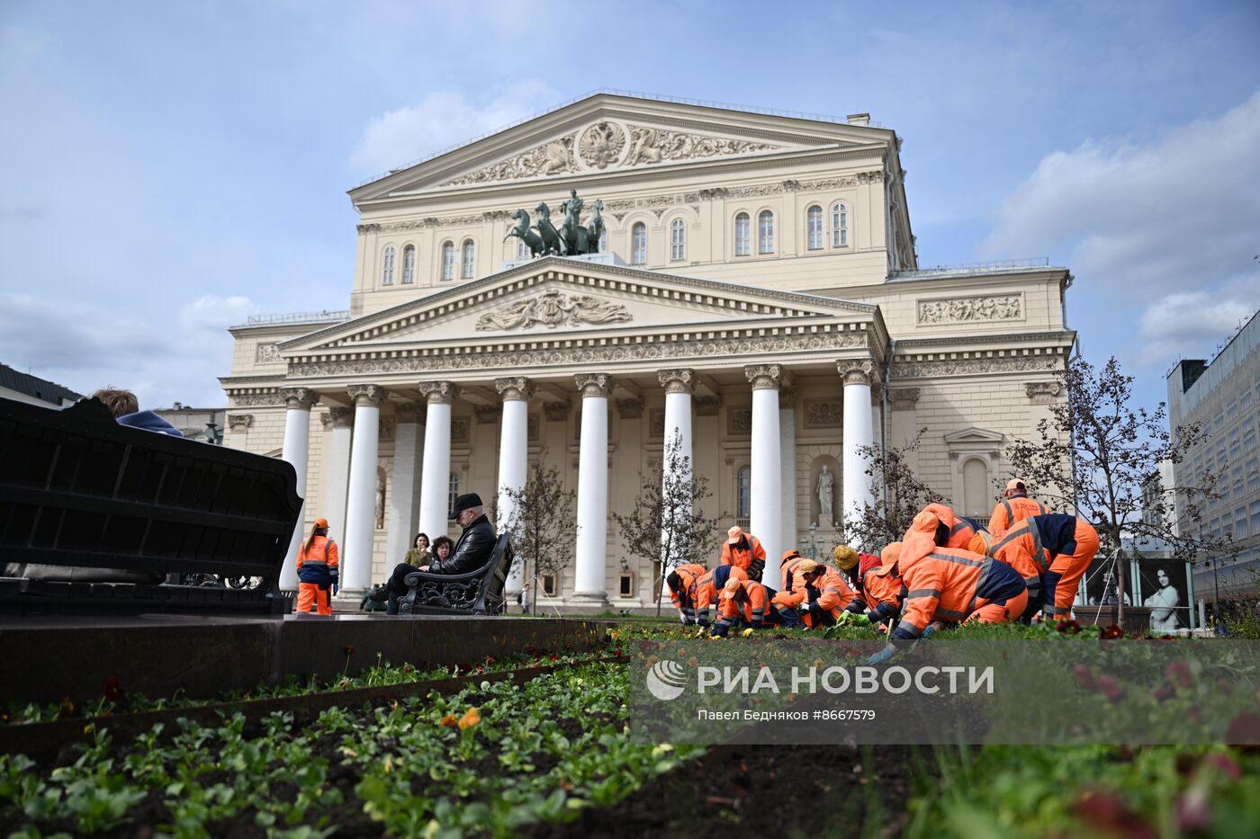 Высадка виолы у Большого театра в Москве