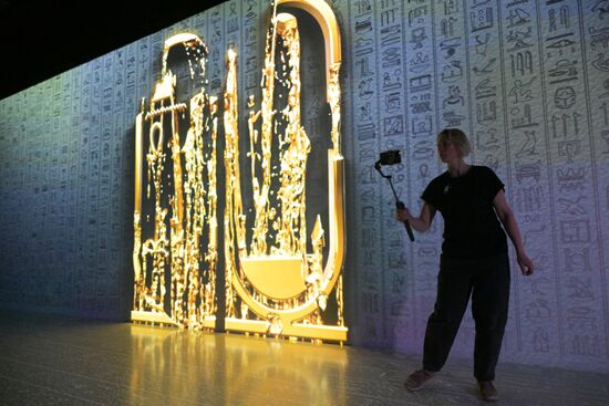 Шоу "Тутанхамон. В поисках вечной жизни" 