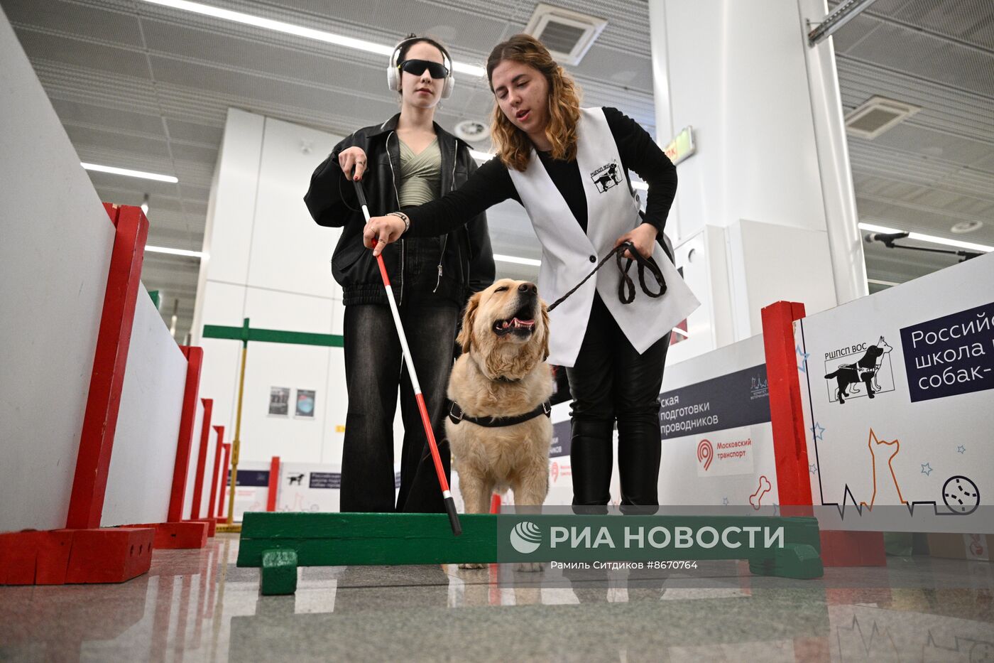 Показательное выступление собак-проводников в московском метро