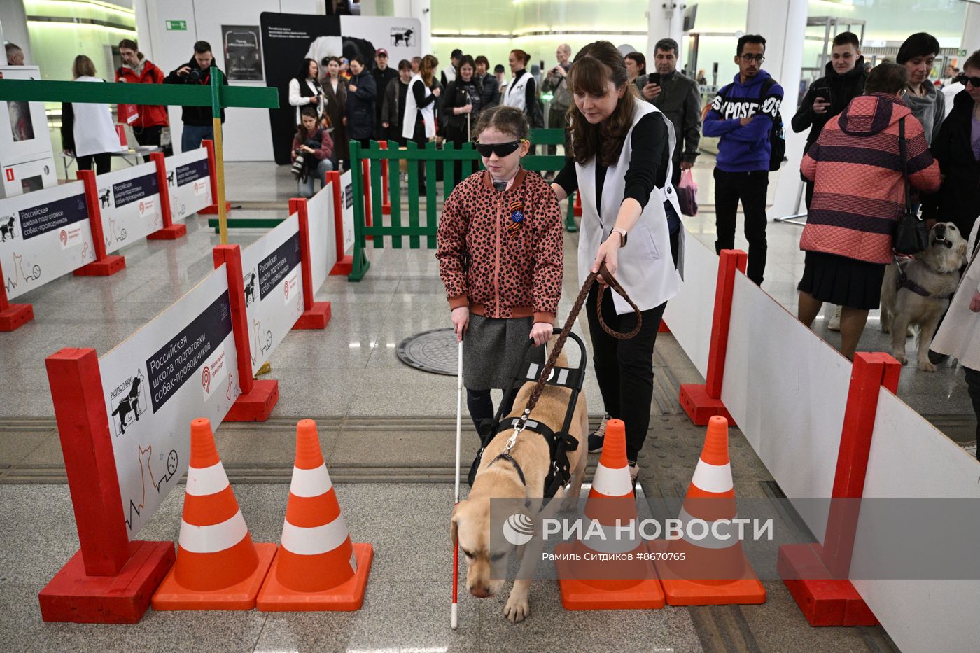 Показательное выступление собак-проводников в московском метро