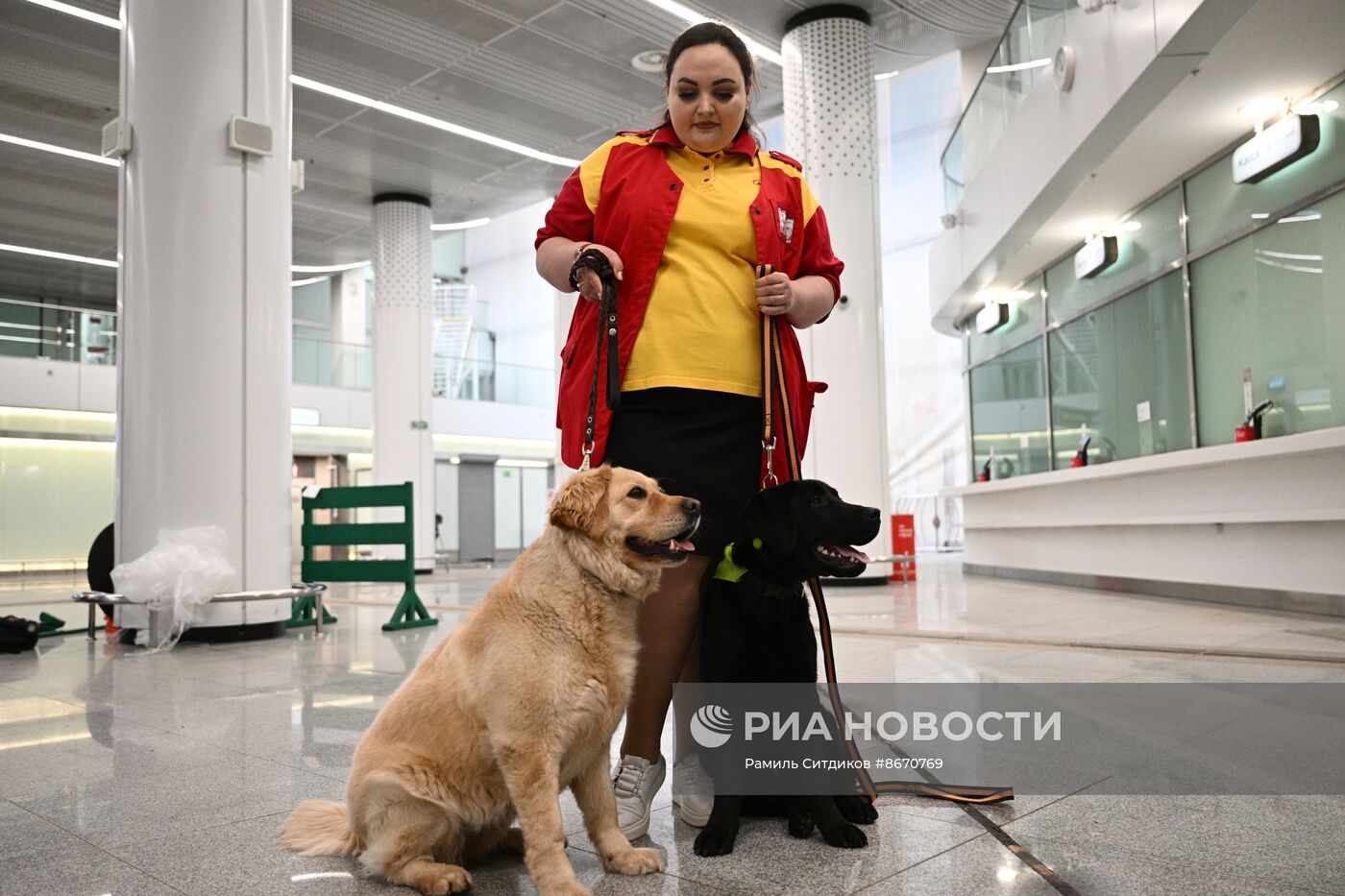 Показательное выступление собак-проводников в московском метро