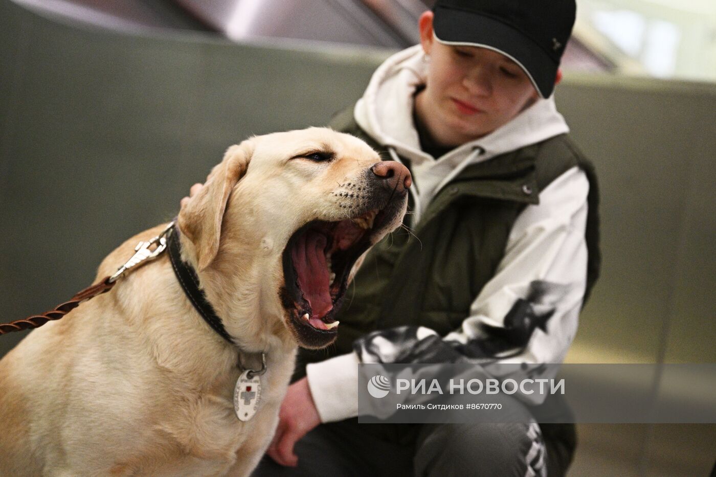 Показательное выступление собак-проводников в московском метро