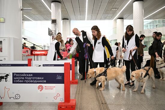 Показательное выступление собак-проводников в московском метро