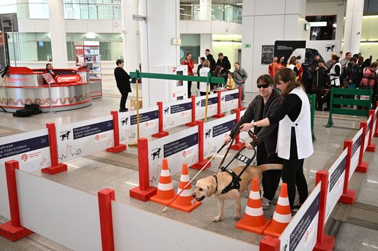 Показательное выступление собак-проводников в московском метро