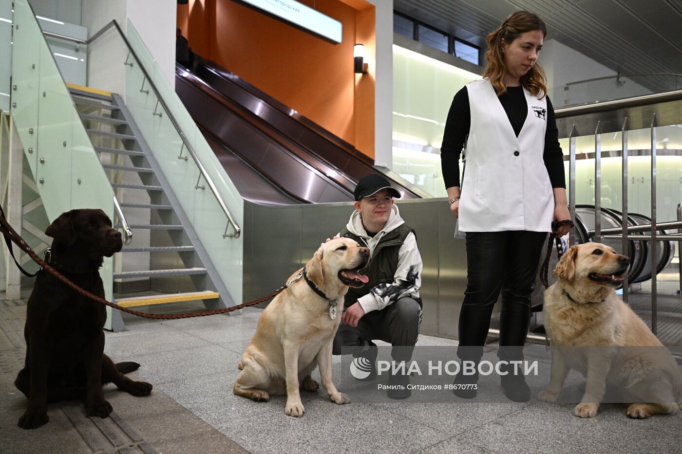 Показательное выступление собак-проводников в московском метро