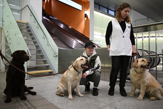 Показательное выступление собак-проводников в московском метро