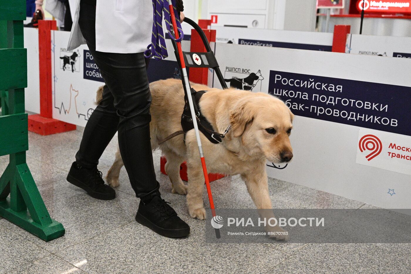 Показательное выступление собак-проводников в московском метро