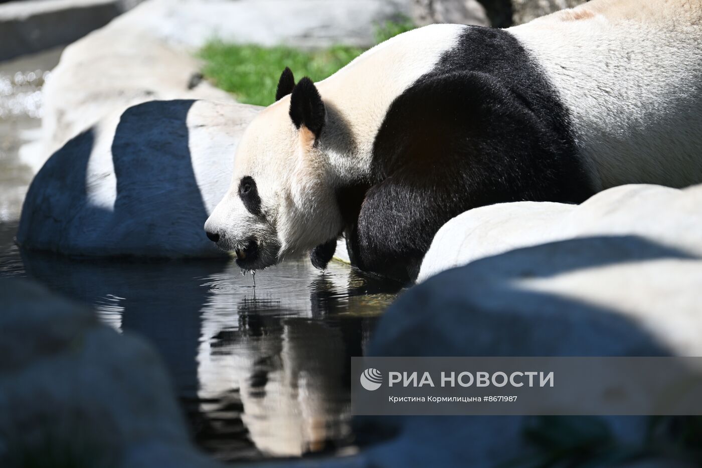 Московский зоопарк