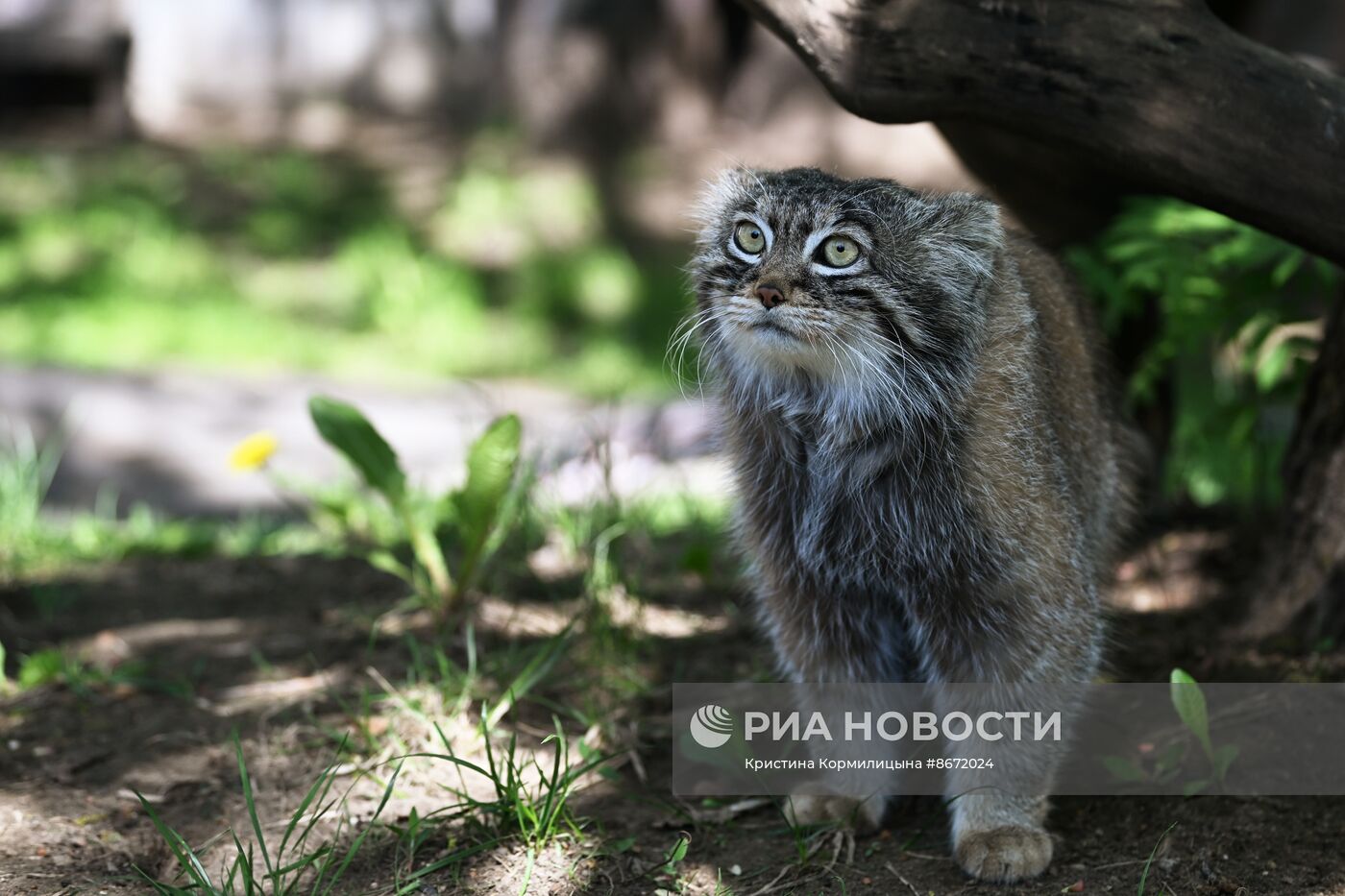 Московский зоопарк