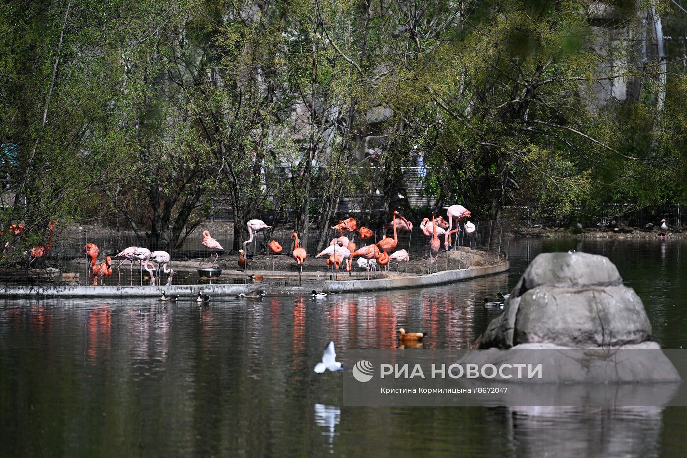 Московский зоопарк