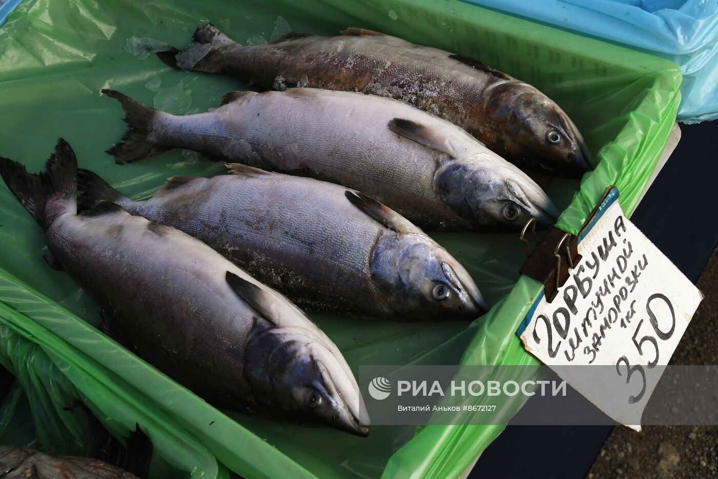 Продовольственная ярмарка во Владивостоке