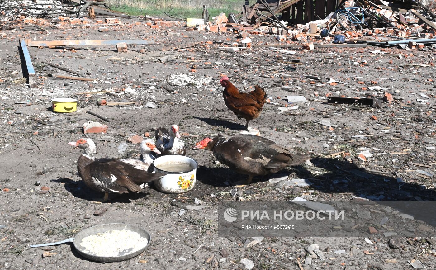 Жизнь мирного населения на линии фронта в Харьковской области