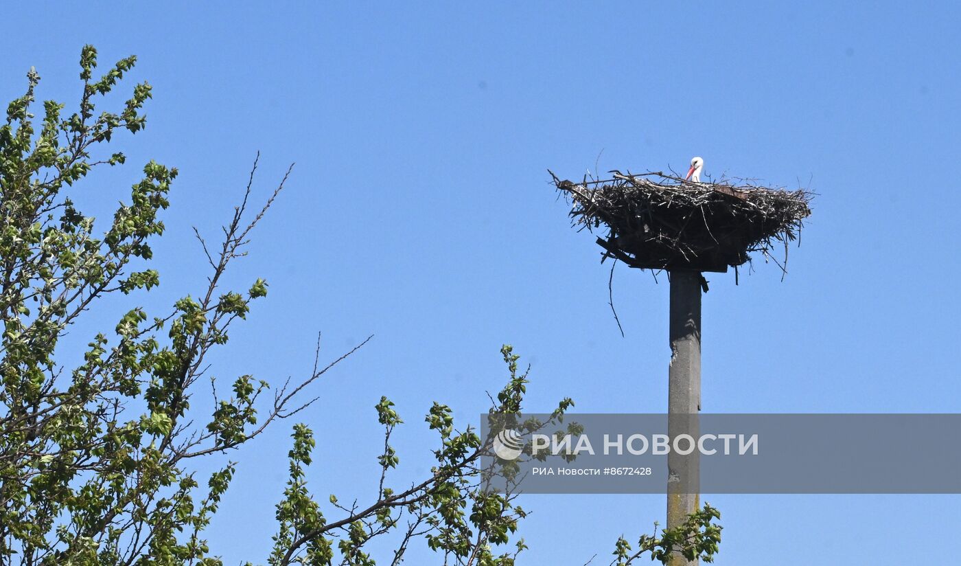 Жизнь мирного населения на линии фронта в Харьковской области