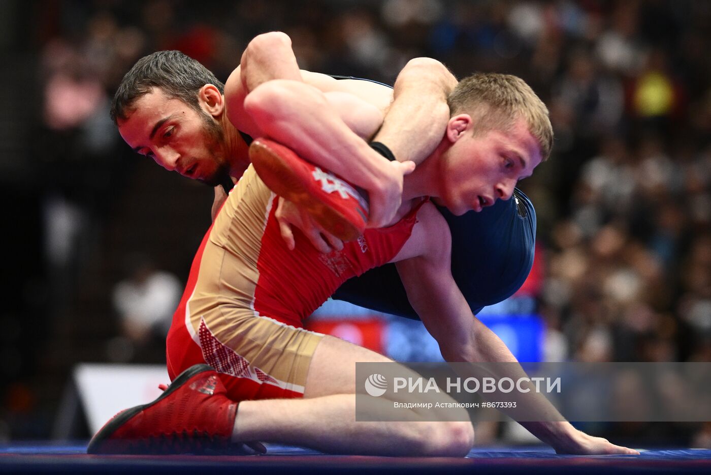 Предолимпийский чемпионат России по вольной борьбе 2024 