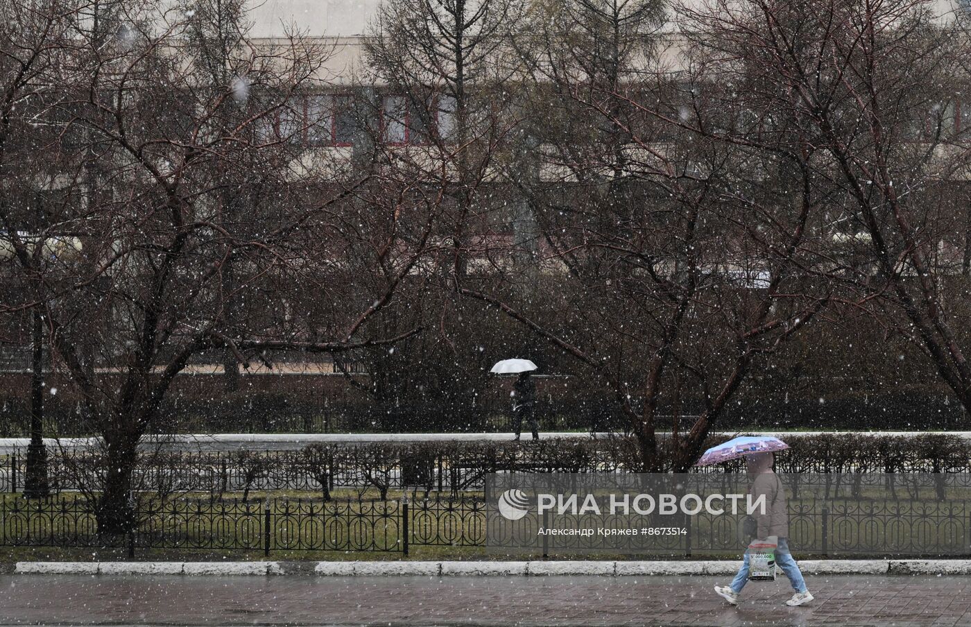 Снег в Новосибирске