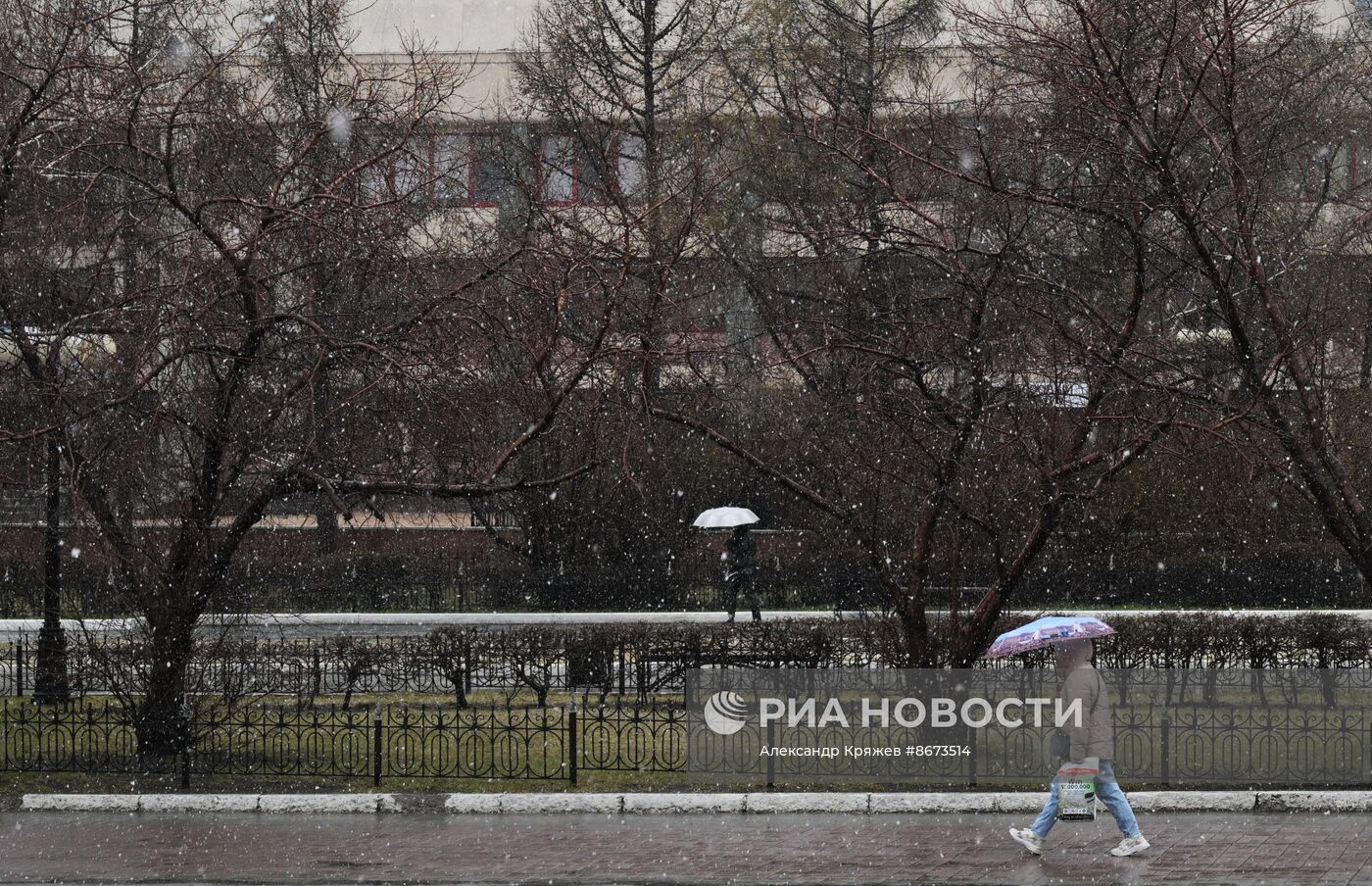 Снег в Новосибирске