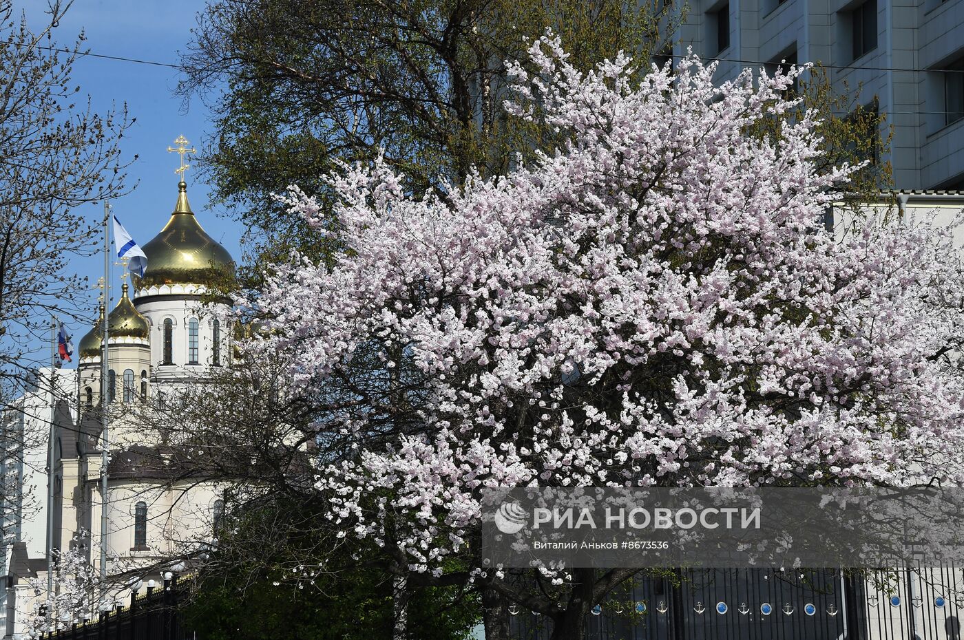 Весна во Владивостоке