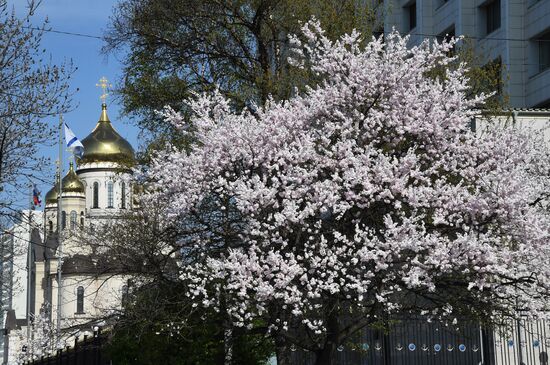 Весна во Владивостоке